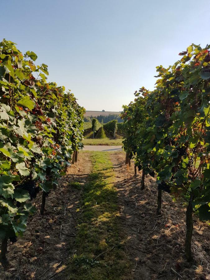 Weingut & Gaestehaus Nagel Kapellen-Drusweiler Kültér fotó